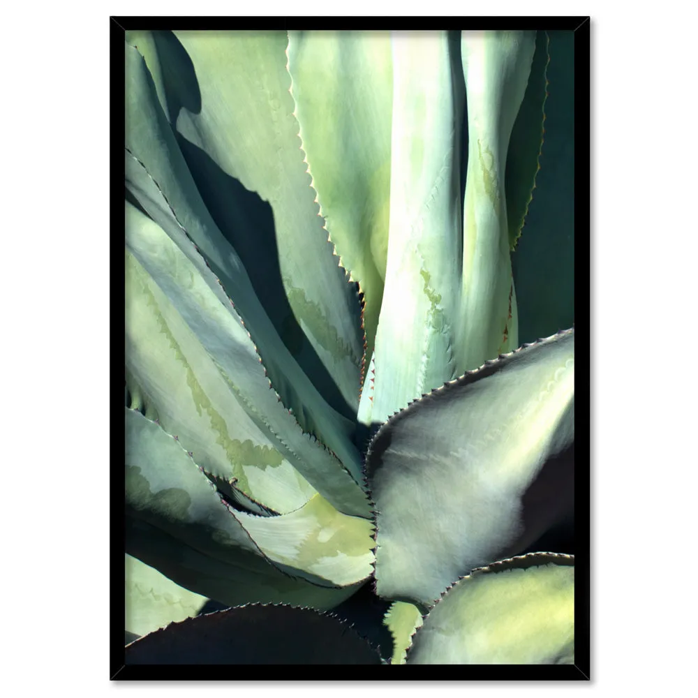 Agave Study II - Art Print