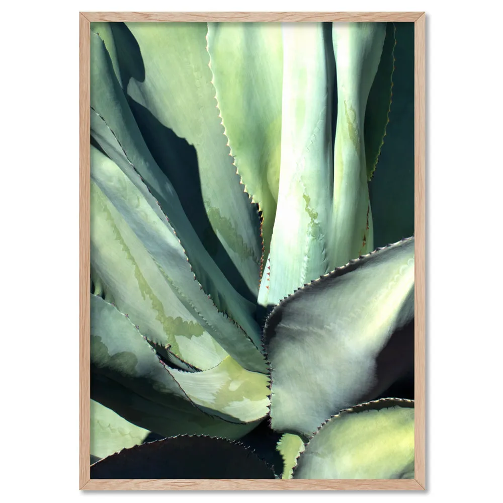 Agave Study II - Art Print