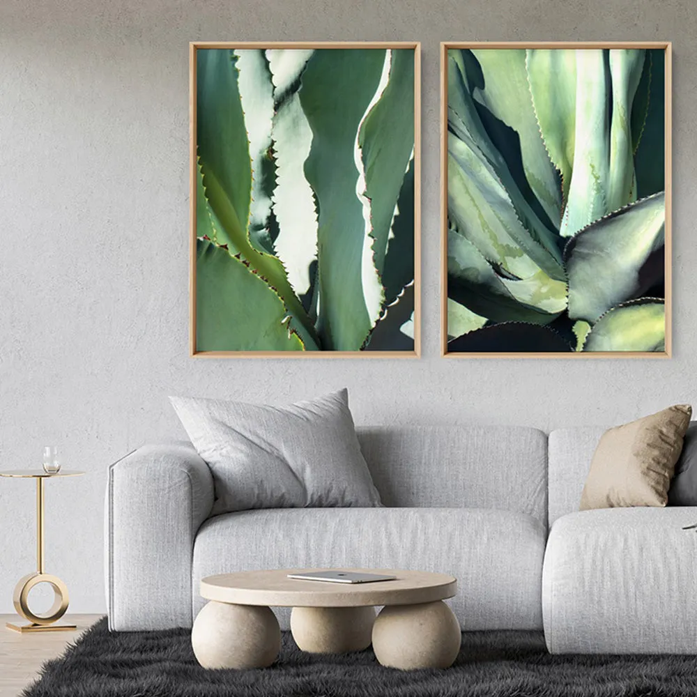 Agave Study II - Art Print