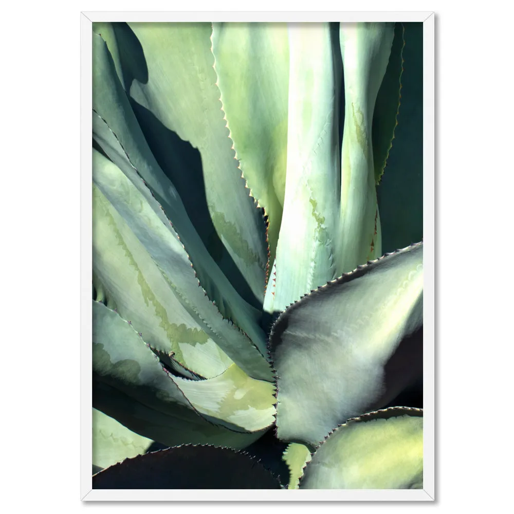 Agave Study II - Art Print