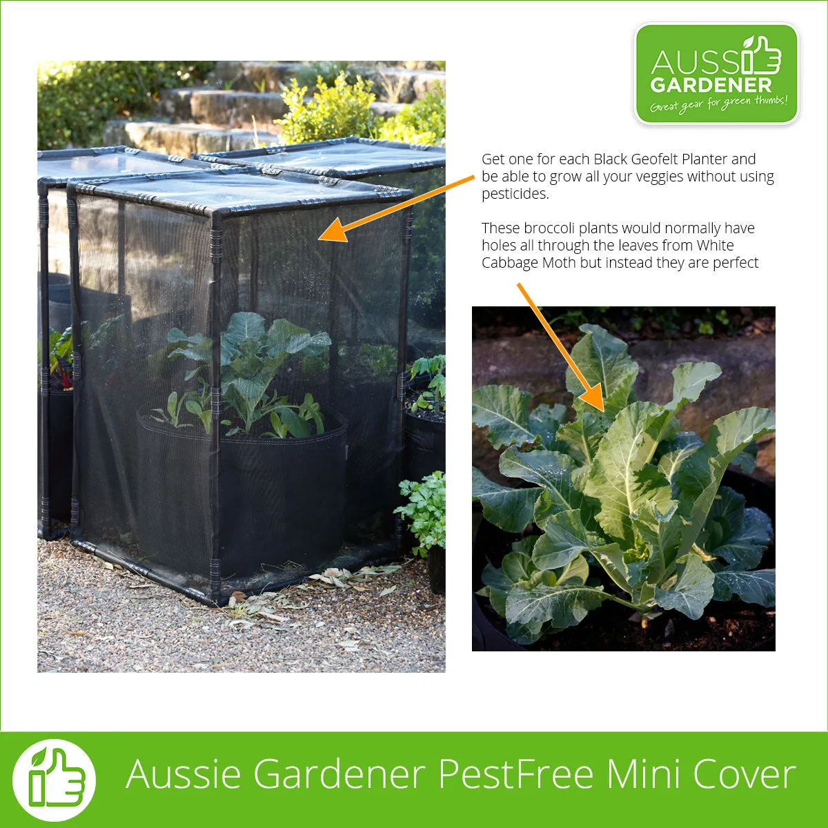 Aussie Gardener PestFree Mini Cover