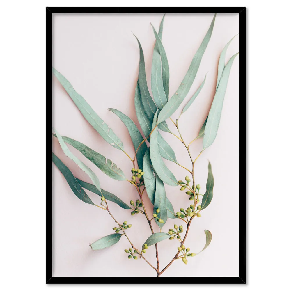 Australian Gumtree Leaves on Pink - Art Print