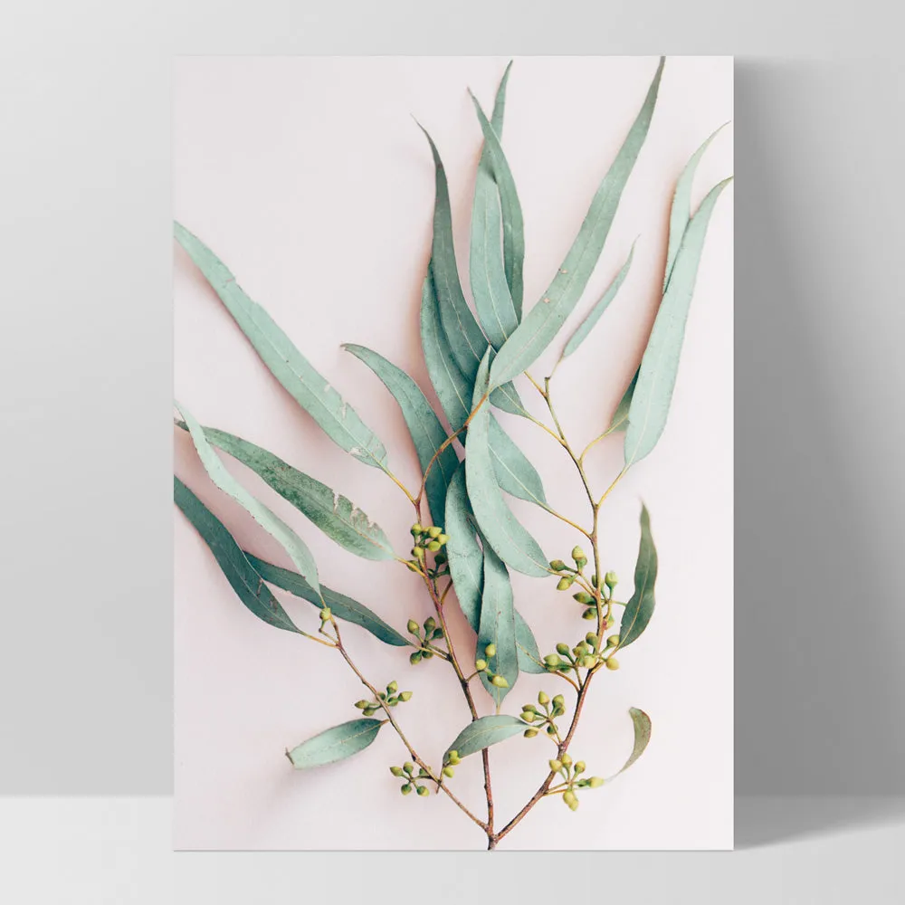 Australian Gumtree Leaves on Pink - Art Print