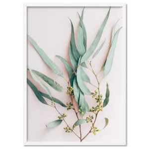 Australian Gumtree Leaves on Pink - Art Print