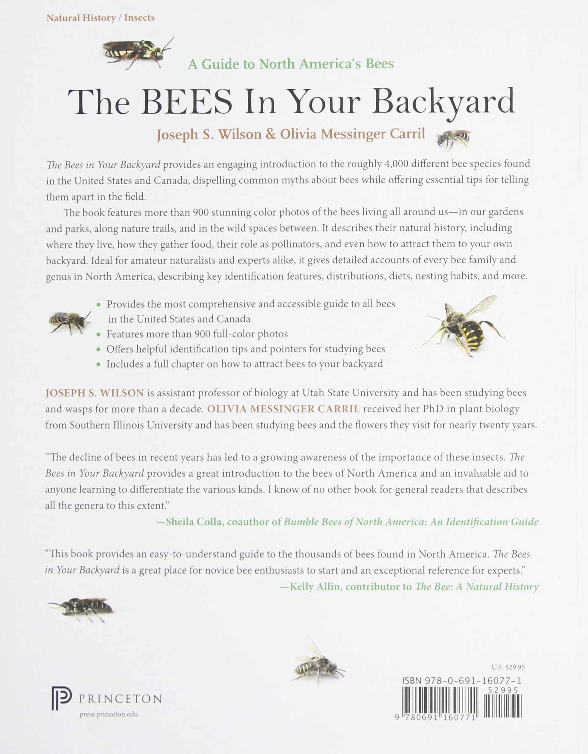 Bees in Your Backyard