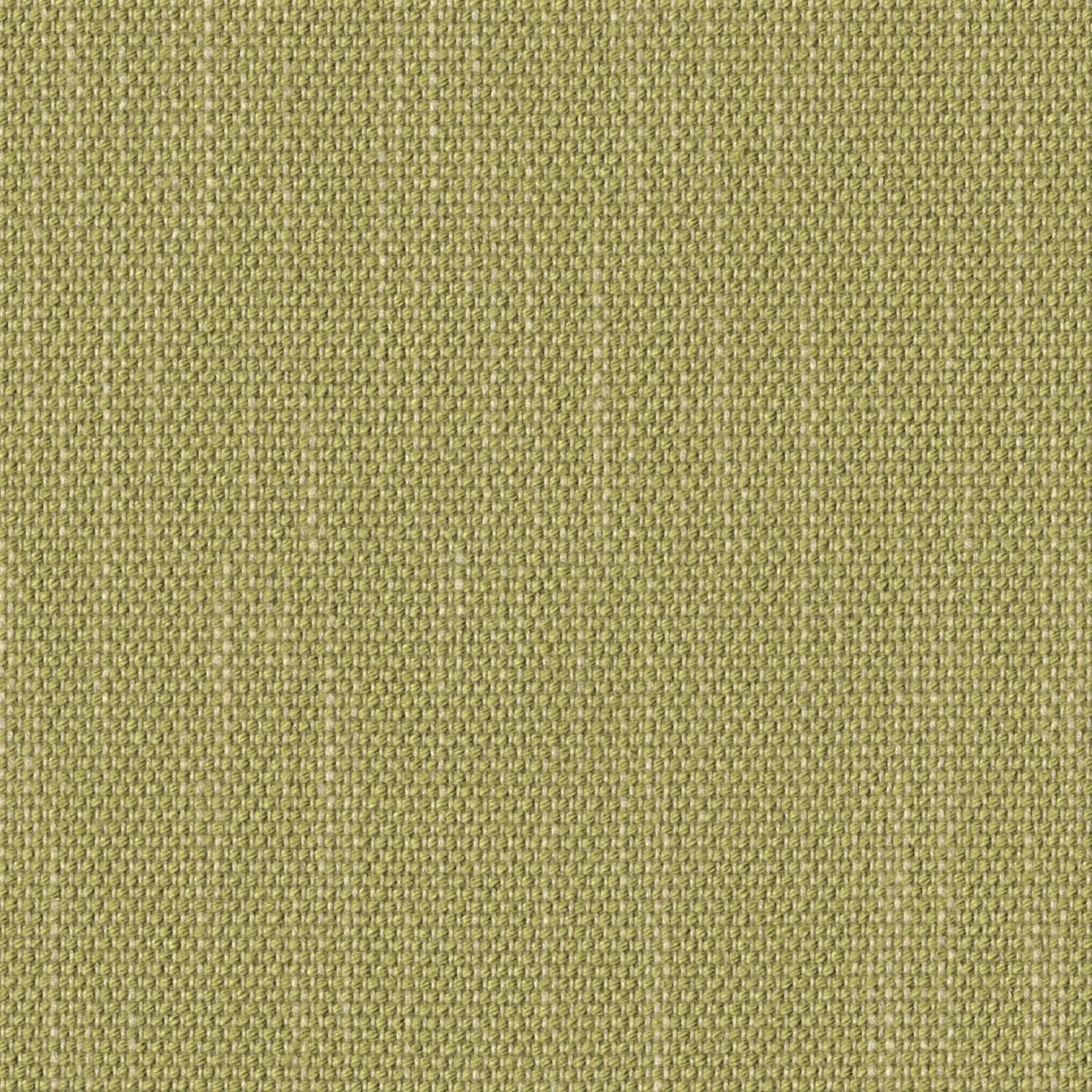 Contrast Slub - Lemongrass - 4115 - 16 - Half Yard