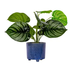 Faux Camo Leaf Plant & Cannes Ceramic Planter