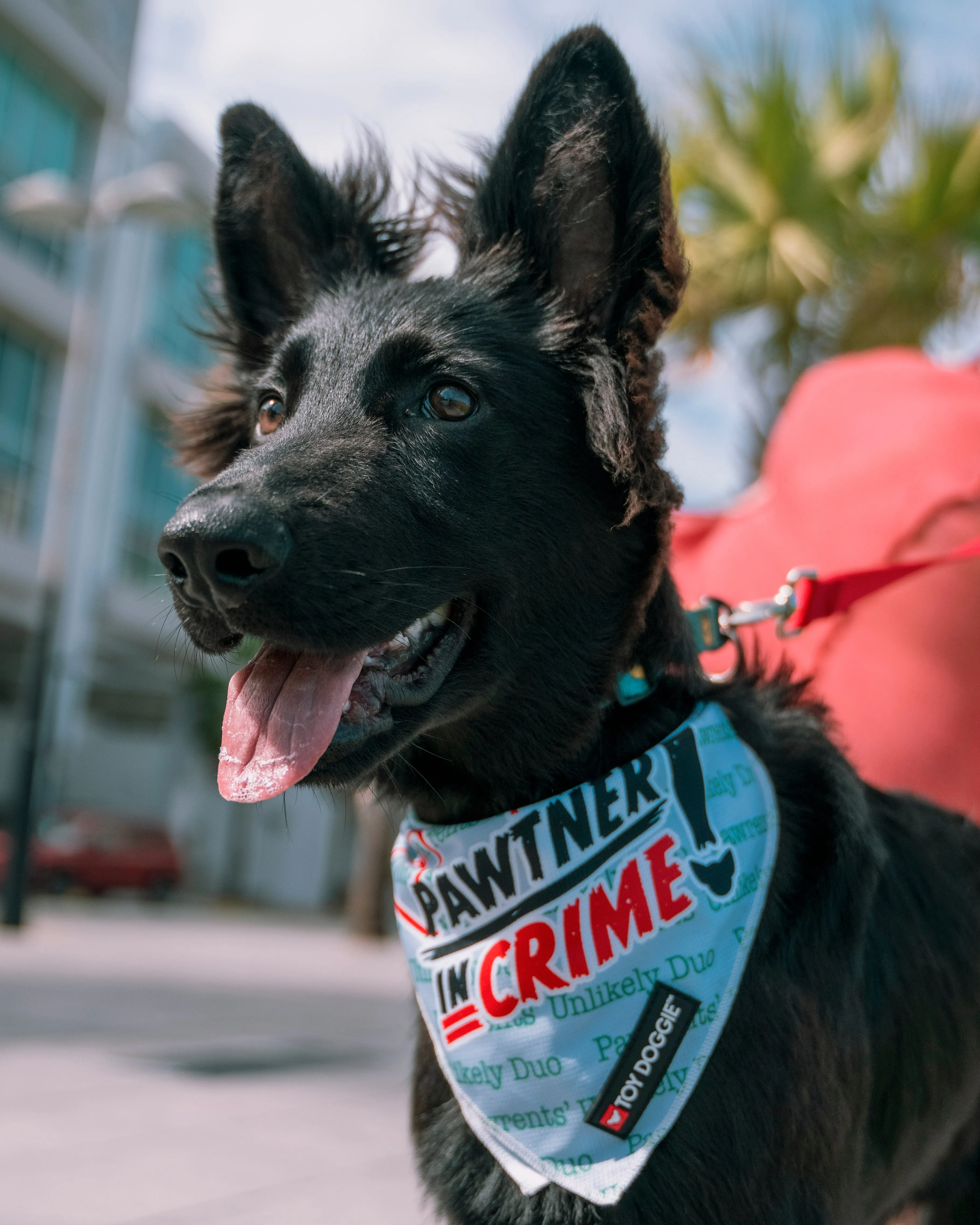 Pawtner Cooling Dog Bandana