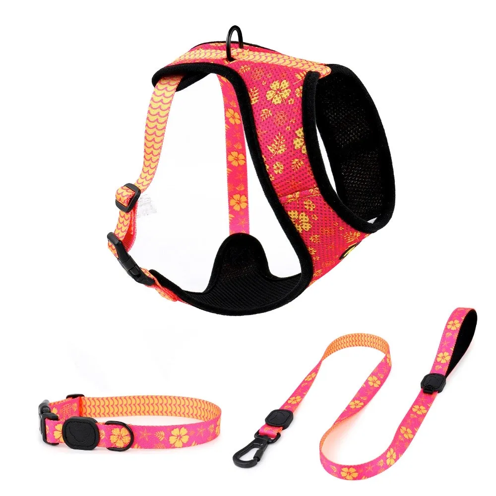 Tropical Party Premium Dog Leash